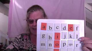 Wilson Reading Lesson 2  Vowel Review Consonant Sounds [upl. by Karin769]