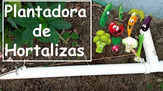 Como Hacer una Plantadora de Hortalizas Casera  Ideas increíbles con PVC [upl. by Adnuhsor]