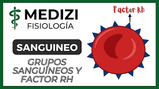 Clase 35 Fisiología Sanguínea  Grupos sanguíneos y Factor Rh IGdoctorpaiva [upl. by Turro]