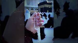 Sary Dar Khatm Ho Jaty Hain 💯❤️  Islam  New Post  Ubaid Bin Ashiq [upl. by Ahseyk]