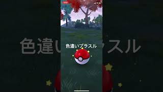 ポケモンGO 色違いプラスル出現！ pokémon ポケモンgo [upl. by Keating]