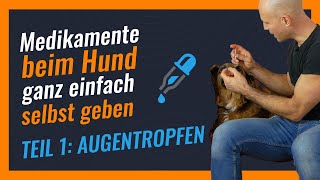 Medikamente für Hunde  Teil 1  Augentropfen geben leicht gemacht [upl. by Zared]