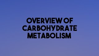 Overview of Carbohydrate Metabolismcarbohydratemetabolism carbohydrates biochemistry metabolism [upl. by Jehias]