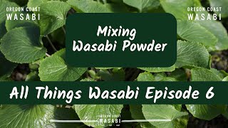 Mixing Wasabi Powder  All Things Wasabi Episode 6 [upl. by Manno533]