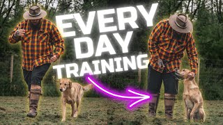 3 Dog Training Tips You Should Do Every Day With Your Dog [upl. by Ruhtracam]