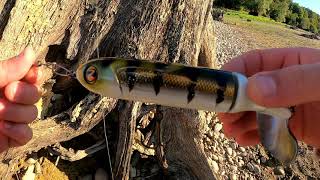 premier silure au whopper plopper 190 [upl. by Robenia195]