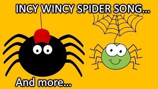 Incy Wincy Spider Song  Nursery Rhyme [upl. by Nadda]