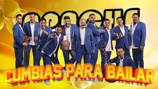 Tropicalisimo Apache Exitos 2024 💃 Puras Cumbias Viejitas Mix 2024 [upl. by Murvyn]