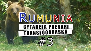 Rumunia 36 Cytadela Poenari i Transfogaraska [upl. by Vevine]