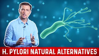 6 Natural Remedies of Helicobacter Pylori – Dr Berg on H Pylori [upl. by Kho]