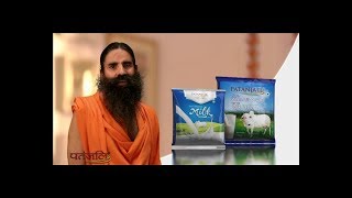 Patanjali Cow Milk Powder  Product by Patanjali Ayurveda [upl. by Buffy]