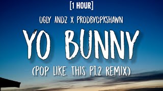 Ugly Andz x Prodbycpkshawn  Yo Bunny Pop Like This Pt2 Remix 1 HOURLyrics [upl. by Annairdua]