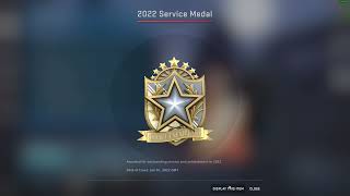 getting csgo service medal 2022 [upl. by Sydalg]