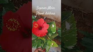 Sapnon Mein Phool dekhna Hindi lordjagannathtemple devotionalsong purijagannathmandir odiabhaja [upl. by Kial]