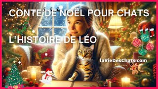 UN CONTE DE NOËL POUR CHATS le chat Léo [upl. by Dorsman]