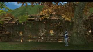 Lineage 2  Hunters Village Theme [upl. by Newel]