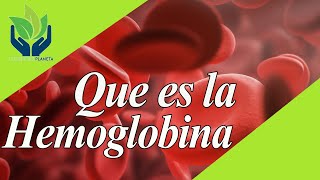 Hemoglobina qué es cómo funciona valores [upl. by Vastha]