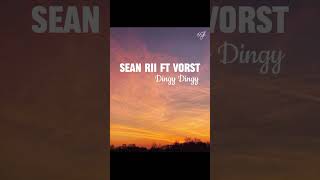 Sean Rii Dingy Dingy ft Vorst2024 audio [upl. by Alegnaoj498]