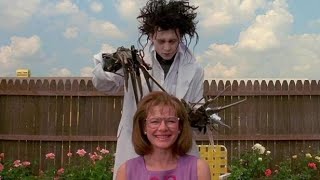 Edward Scissorhands  Movies Explained in Hindi  Movies Explanation Channel [upl. by Lubet]