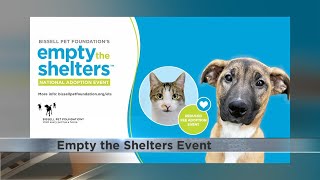 Empty the Shelters event [upl. by Neely]