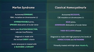 Marfan Syndrome vs Homocystinuria [upl. by Saffian]