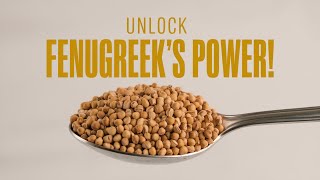 english  Unlock the Power of Fenugreek for Wellness  fenugreek wellness health metabolism [upl. by Ahsoek210]