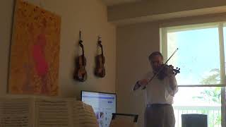 Guarneri Del Gesu 1730s Violin Test 25 [upl. by Martelle]