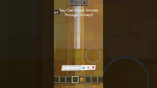 You Can Shoot Arrows Through Honey Minecraft [upl. by Renelle]