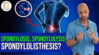 What’s the difference between spondylosis Spondylolysis and spondylolisthesis [upl. by Misty]