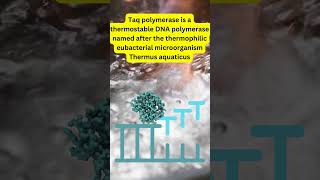 Polymerase Chain Reaction  PCR DNAAmplification TaqPolymerase GeneResearch MedicalDiagnostics [upl. by Dnomsaj]