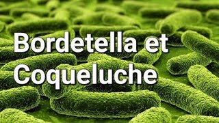 BORDETELLA ET COQUELUCHE [upl. by Erine]