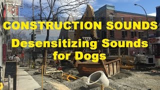 Construction Sounds  Desensitizing Sounds for Dogs [upl. by Robillard]