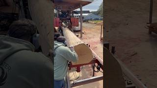 White Oak Cut Into 2x9’s  Cooks AC36 sawmill [upl. by Narayan598]