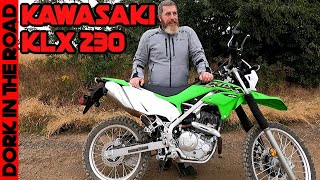 MORE Than Just a Beginner Dual Sport Kawasaki KLX230 Test Ride Off Road Test First Impressions [upl. by Awe]