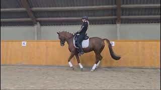 FEI Dressage pony for sale Xara B [upl. by Aiekam273]