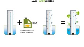 La solution nutritive en hydroponie Bioponie ou Aquaponie [upl. by Oaht]