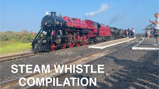 Steam Whistle Compilation 2024 [upl. by Nel506]