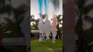 Gender reveal with fireworks 💕💙 ￼ [upl. by Annaerb]