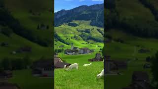 schwende​ alpstein​ appenzell​ switzerland​ hiking​ hoherkasten​visitswitzerland​shortvideo [upl. by Ericksen]