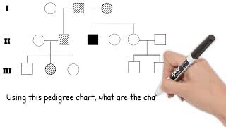 Pedigree Charts Short Simple Science [upl. by Consolata]