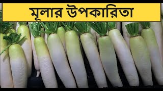 মুলার পুষ্টিগুণ ও উপকারিতা। Health Benefits Of Radish [upl. by Anthony]