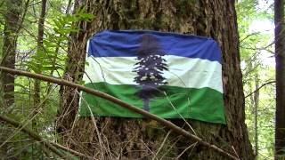 Cascadia Forever  Deep in the Cummins Creek Wilderness [upl. by Alessig]