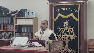 Hoshana Rabah Otzar Hatora Daily Halacha October 21 2024 [upl. by Bernadina395]