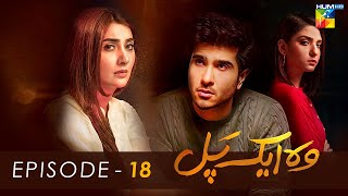 Woh Aik Pal  Episode 18   HD    Ayesha Khan Feroze Khan amp Ramsha Khan   HUM TV [upl. by Atiuqehs772]