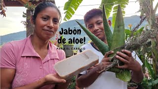 COMO PREPARAR JABON DE ALOE VERA PARA EL CABELLO [upl. by Buckels89]