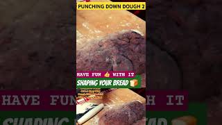 PUNCHING DOWN 2👊 THE DOUGH HAVE FUN raisinbread bread [upl. by Blank328]