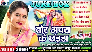 Mor Chhaiya Bhuiya 2  Cg Film Song  Tor Achara Ke Chhaiya  AudioJukebox  Man Diksha Elsa Deepak [upl. by Darill]