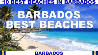 10 BEST BEACHES IN BARBADOS [upl. by Jeddy]