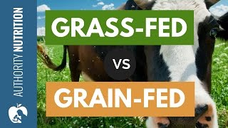 Is GrassFed Beef Really Healthier Than GrainFed [upl. by Ajak]