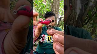 Real Warrior ZINGER Frog kerala fishing review realwarrior frog shorts reels malluhunterz [upl. by Jecoa]